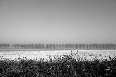 White polder..
