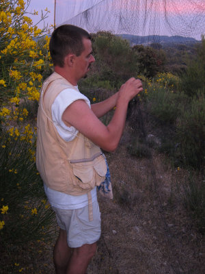 Bird ringing in Luberon (France) - June 2010