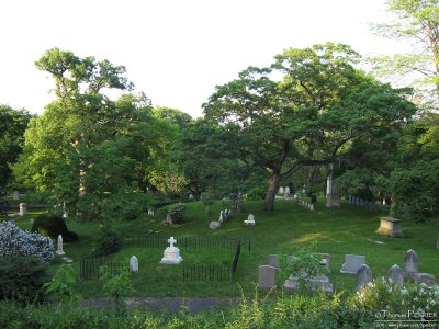 Mt Auburn cemetery_S90_1860.jpg