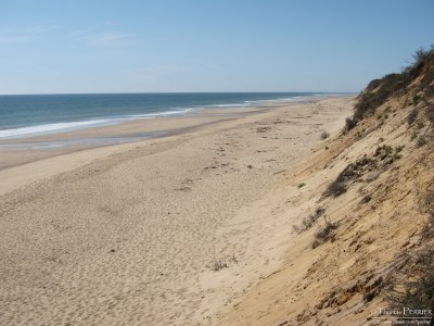 g4/31/698631/3/138734693.0VWEFnuo.jpg
