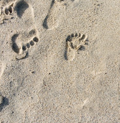 Coming and Going