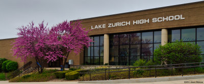 LZ High School (13593)