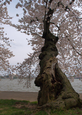P4070583edit-sm.jpg