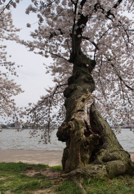 P4070583raw2sm.jpg