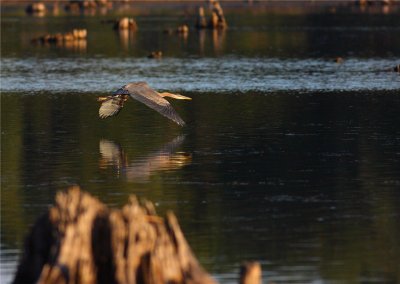 IMG_3677.JPG