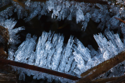 Ice crystals