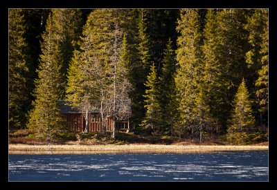 Cabin, Sjlia