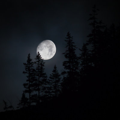 Moon Landing