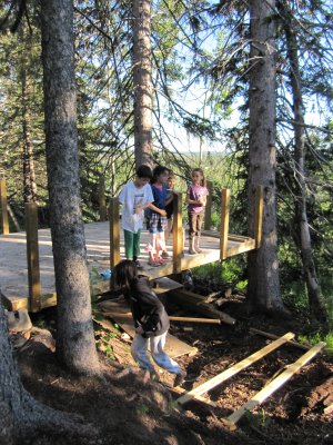 tree fort