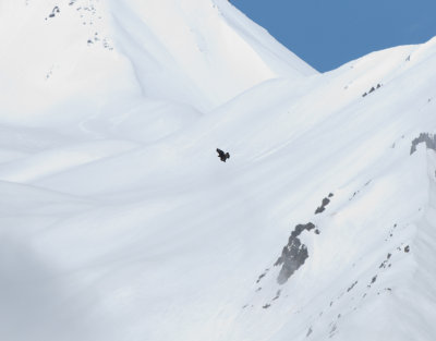 Golden Eagle Kazbegi