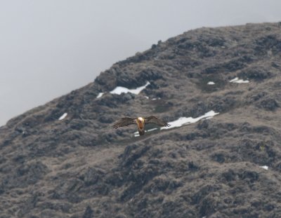 g4/31/789931/3/134759233.SwUIZA75.jpg