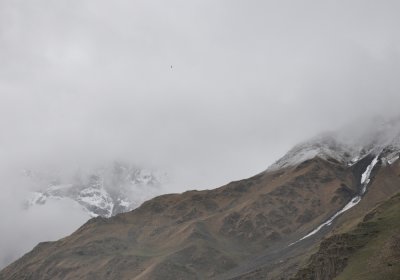 Kaukasus with Lammergeier over the mountains in the middle