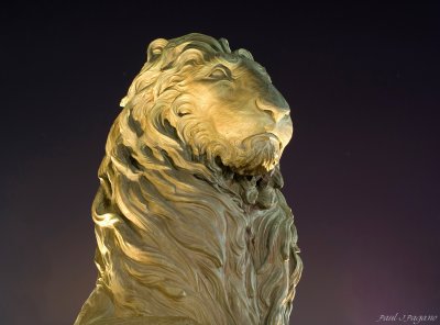 Lion of the Square
