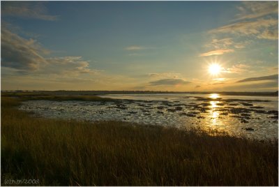 Low Tide...