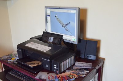 EpsonL800_01.JPG