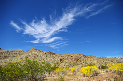 Southern Nevada Landscape