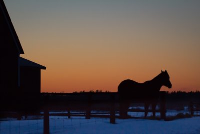 sunset ranch
