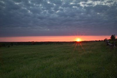 Cow Pasture