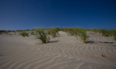 Beach dunes at night