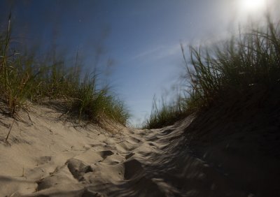 moonlit dune path