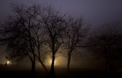 foggy night