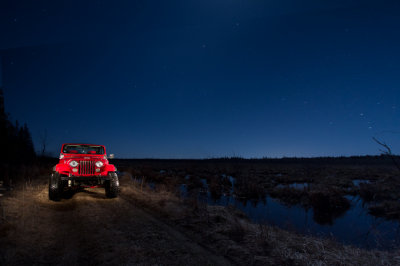 jeep at the swamp