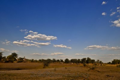 _DSC3521.jpg