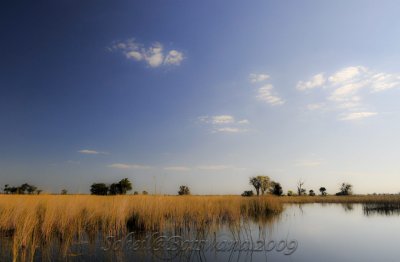 _DSC3986.jpg