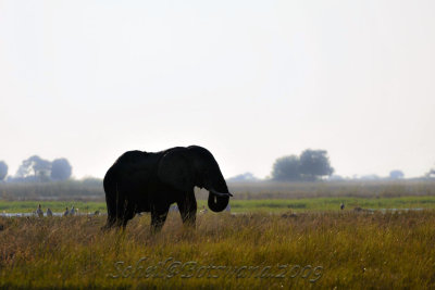 _DSC4555.jpg