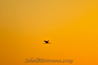 _DSC4635.jpg