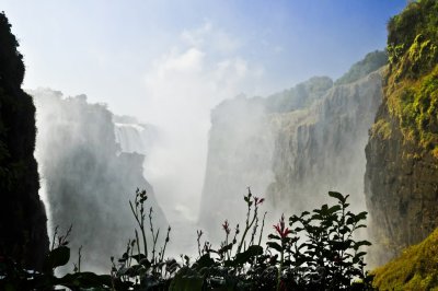 _DSC4950.jpg
