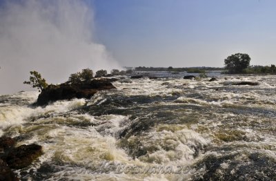 _DSC5023.jpg