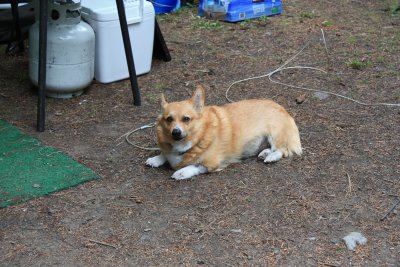 IMG_3016.JPG