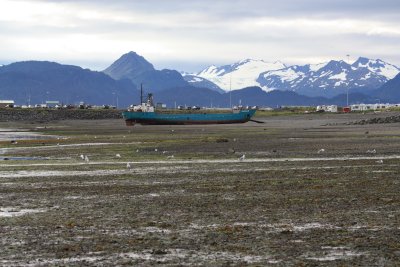 IMG_3190.JPG