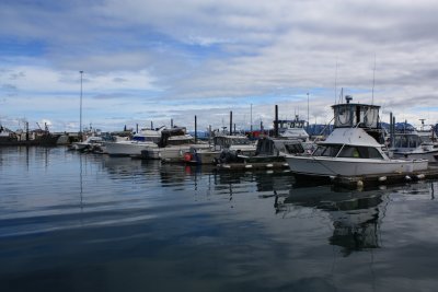 IMG_3205.JPG