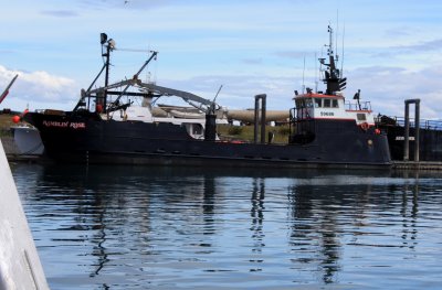 Ramblin Rose From Deadliest Catch