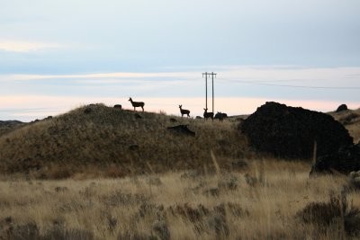 IMG_3404.JPG
