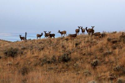 IMG_3411.JPG