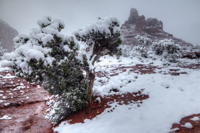 Bell-Rock-snow.jpg