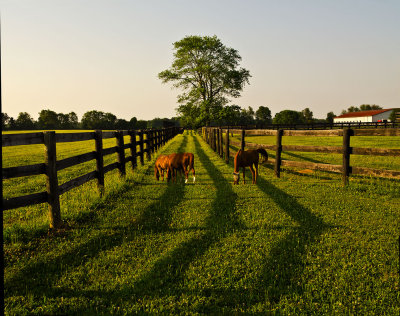 Kentucky-Horse-Ranch_0669.jpg