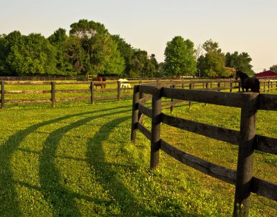 Kentucky-Horse-Ranch_0677.jpg