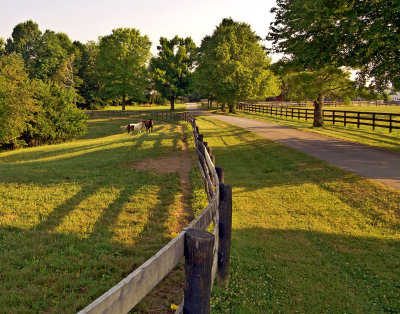 Kentucky-Horse-Ranch_0694.jpg