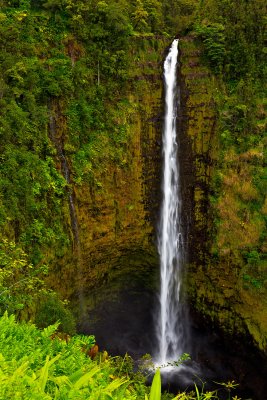 Akaka-falls-7922.jpg