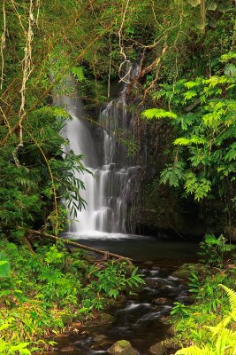 Hidden-Falls-7911.jpg