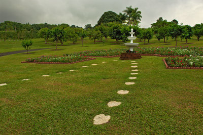 Garden-8312.jpg
