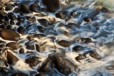 Shore-7780.jpg