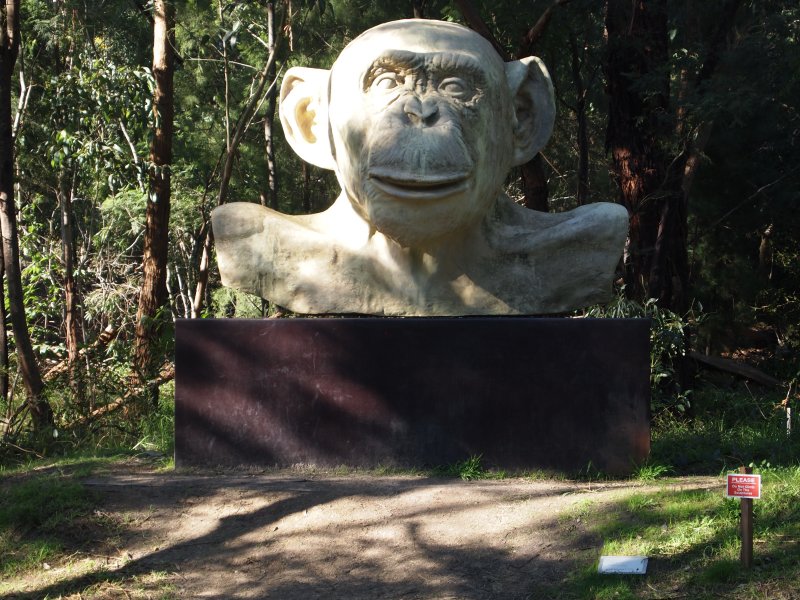 Planet of the Apes 