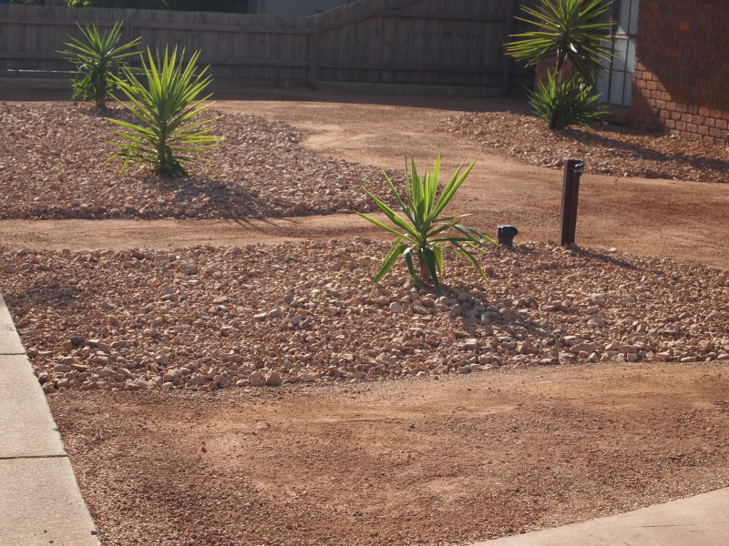 My Neighbours transformed garden.