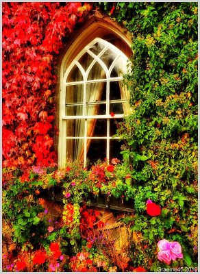 Arch Window