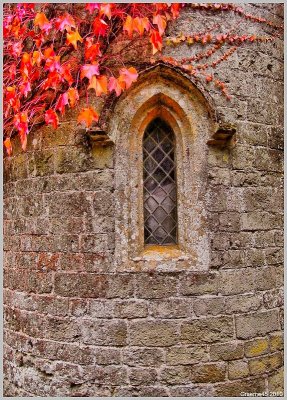 Gate House Window